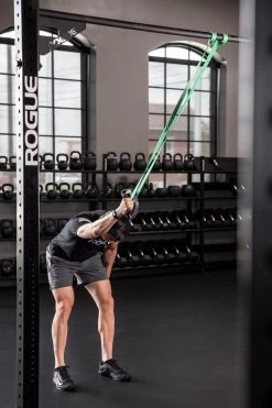 Rogue Band Handle 11 Rogue Band Handle -Fitness Equipment Store AD0166 web5 joh3tp
