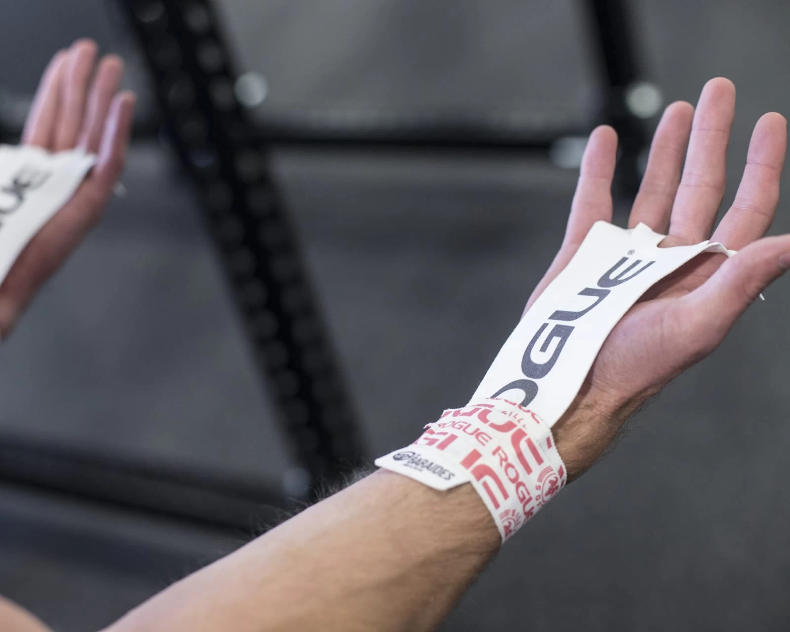 Rogue BarAides 4 Rogue BarAides - Image 2