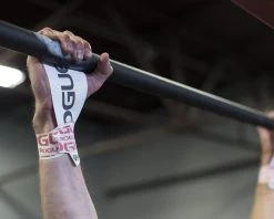 Rogue BarAides 7 Rogue BarAides -Fitness Equipment Store AI0001 WEB2 qtgbuv