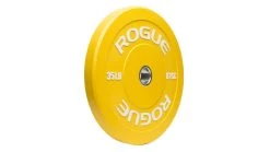 Rogue Color Echo Bumper Plates -Fitness Equipment Store IP0119 WEB4 mzjdoi