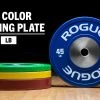 Rogue Color LB Training 2.0 Plates -Fitness Equipment Store IP0510 H rg3uyo