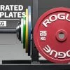 Rogue Calibrated KG Steel Plates -Fitness Equipment Store IP0519 h lr2zpq 1