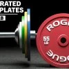 Rogue Calibrated LB Steel Plates -Fitness Equipment Store IP0521 H jrlcuj