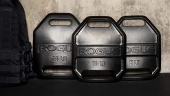 Rogue Echo Weight Vest Plates