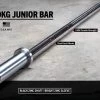 Rogue 10KG Junior Bar 2 Rogue 10KG Junior Bar -Fitness Equipment Store RA0713 BLBR h grqnp4