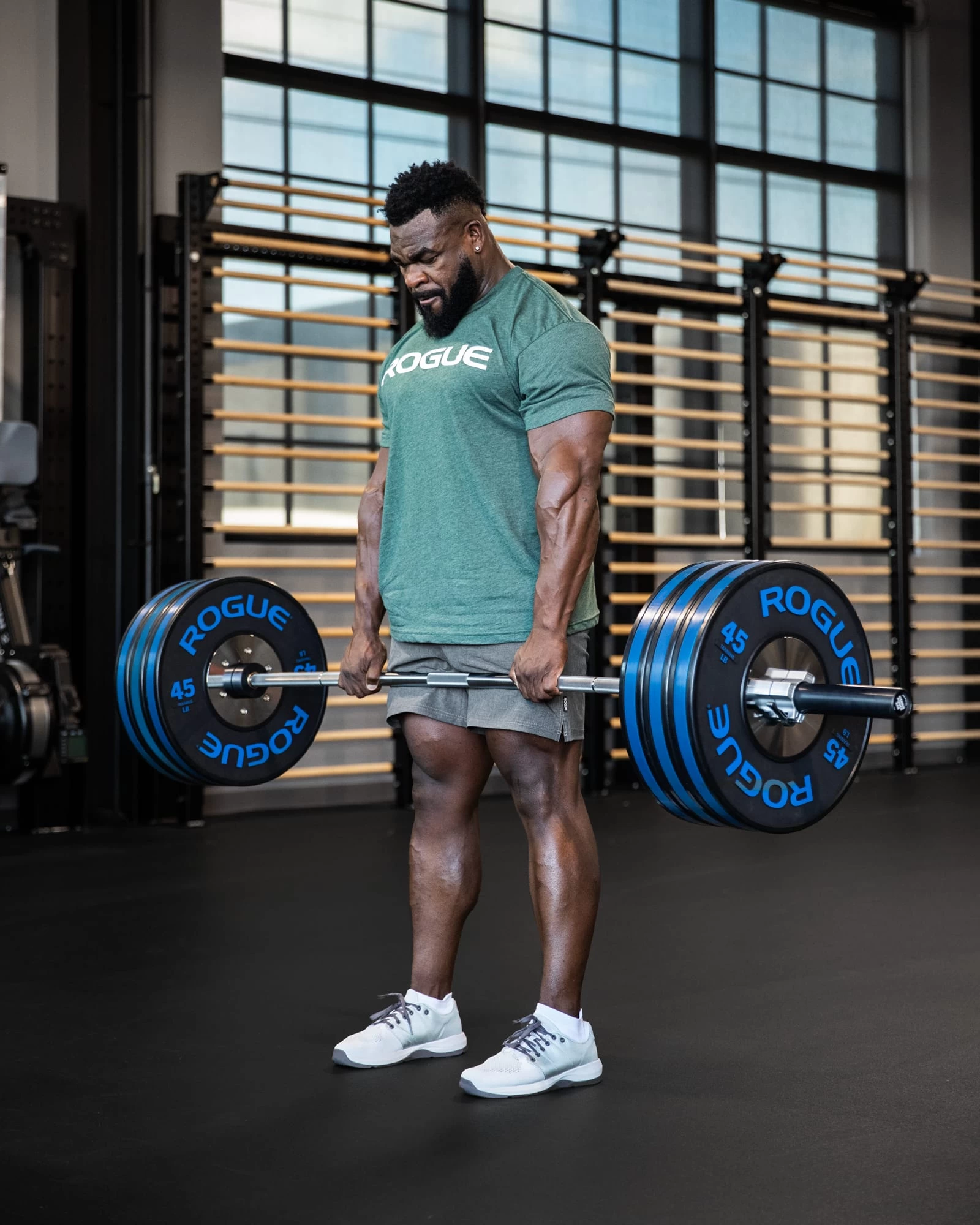 Rogue Hybrid Power Bar 4 Rogue Hybrid Power Bar - Image 2