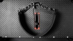 Rogue Multi Belt -Fitness Equipment Store RS1010 WEB4 jkdqzb