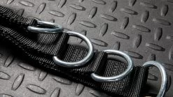 Rogue Multi Belt -Fitness Equipment Store RS1010 WEB5 zt1z5e