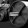 Rogue Deep Dish Plates 2 Rogue Deep Dish Plates -Fitness Equipment Store USC0003 H xjgacv
