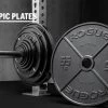 Rogue USA Olympic Plates -Fitness Equipment Store USC0005 H vqwr9z