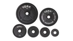 York Legacy Iron Plates