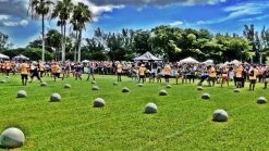 Hybrid Stone Molds 10 Hybrid Stone Molds -Fitness Equipment Store XX874 web3 bgkjqg